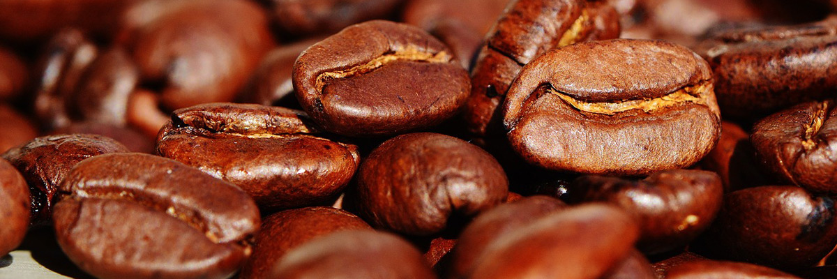 Celebrando Sabor: Dia Mundial do Café