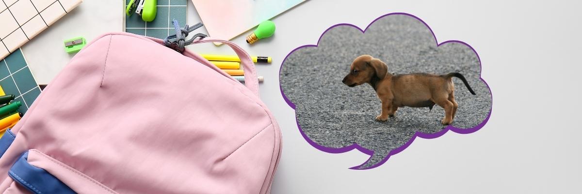 Menina de 6 anos leva cachorro para escola e viraliza nas redes sociais