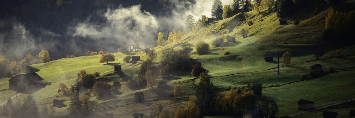 Nomes inspirados na natureza: a conexão entre nome e meio ambiente